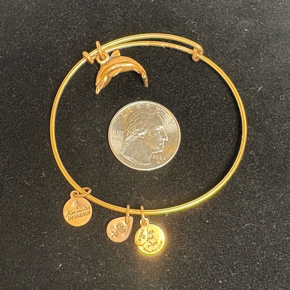 Gold Tone Alex and Ani Dolphin Charm Bangle Bracelet - Picture 4 of 5